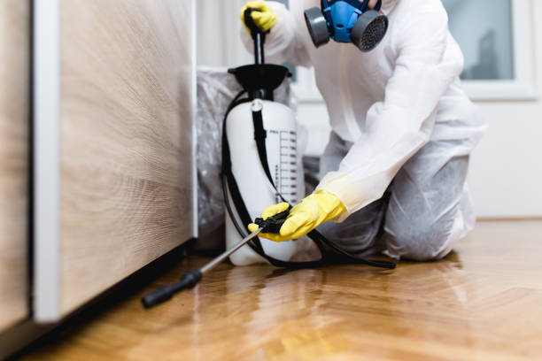 Best Local Pest Control Services  in Dover, AR