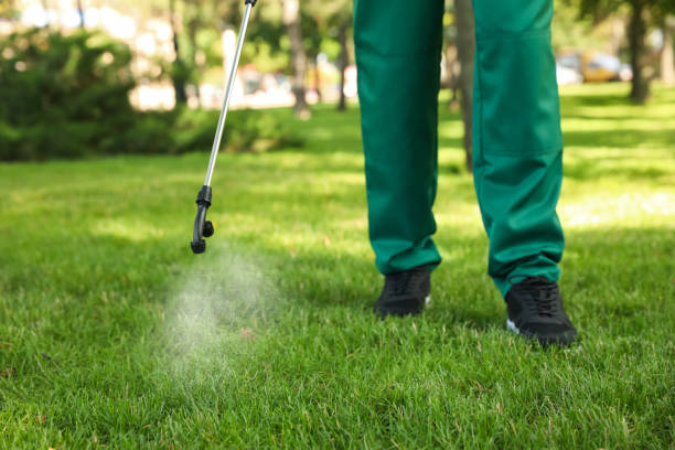 Best Mosquito Control Services  in Dover, AR