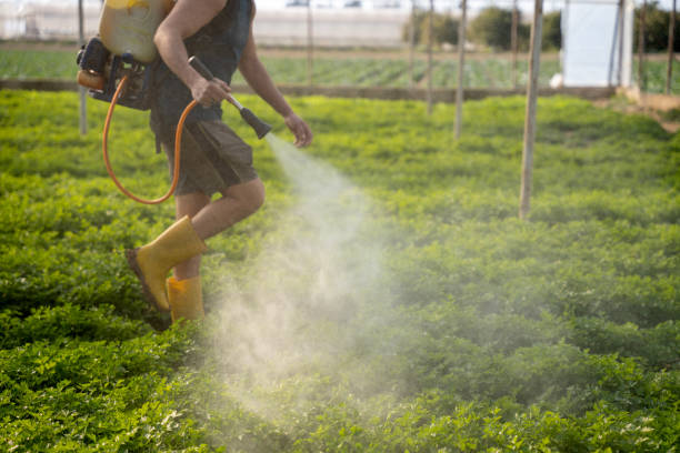 Best Affordable Pest Control Services  in Dover, AR