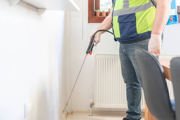 Wasp Removal Services in Dover, AR