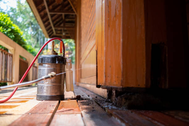 Best Pest Prevention Services  in Dover, AR