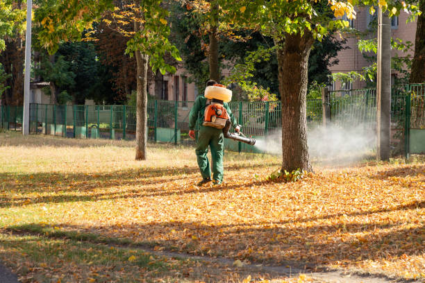 Best Wildlife Control Services  in Dover, AR