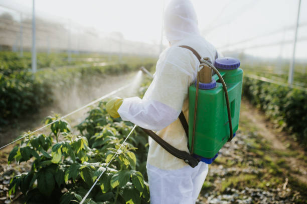 Dover, AR Pest Control Company
